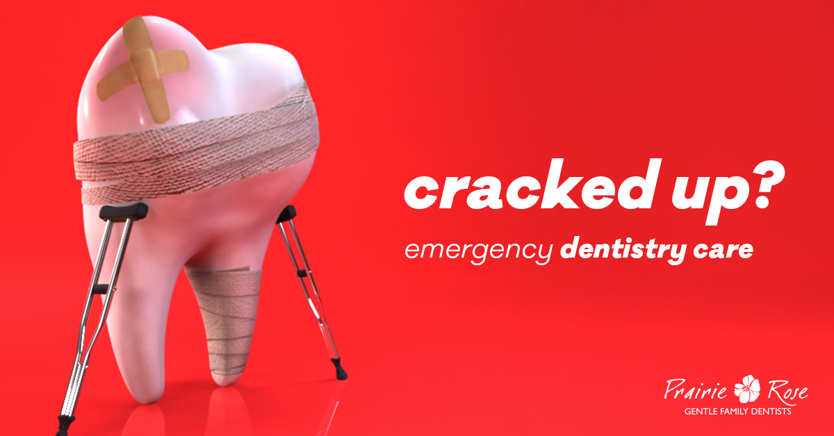 Prairie Rose InnovatAR